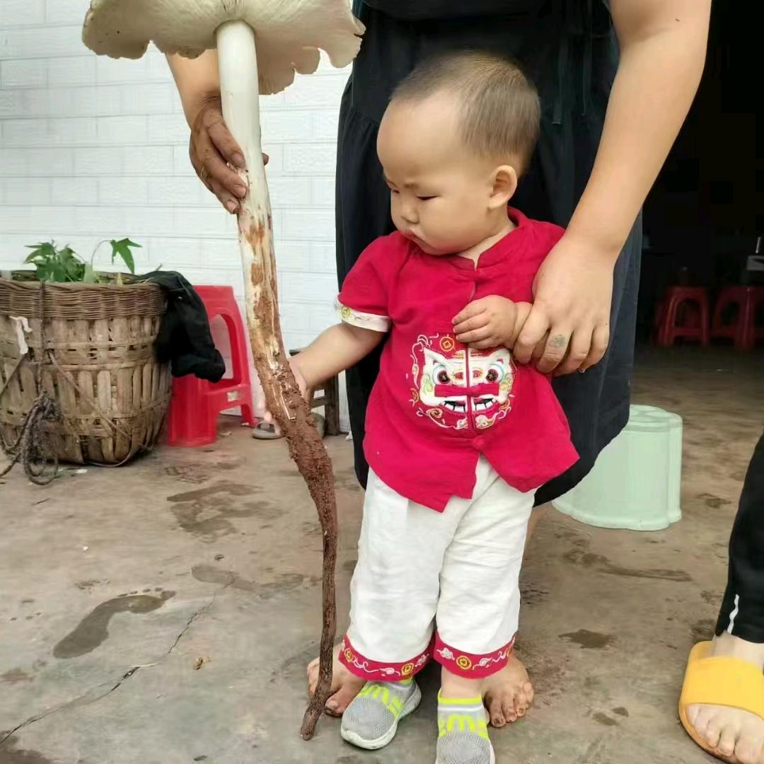 早早带你逛野区