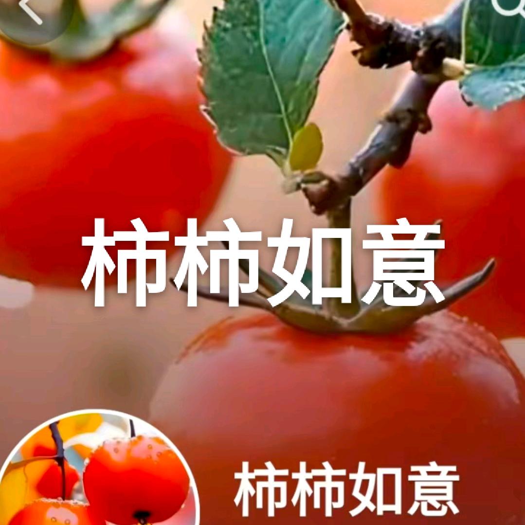 心想事成