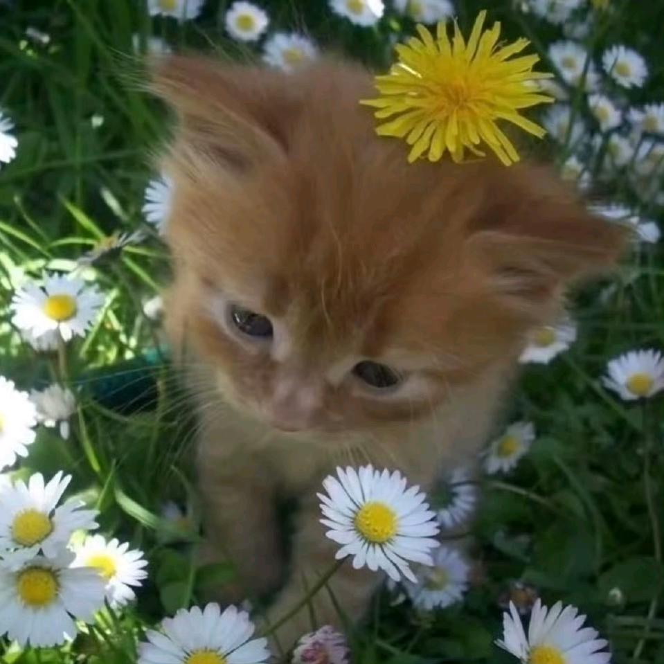 第五个季节❄️