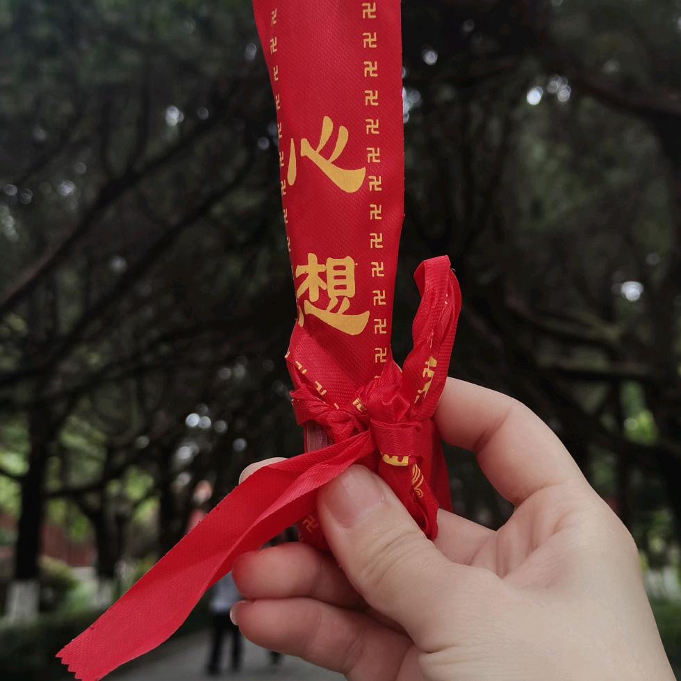 小扬阳
