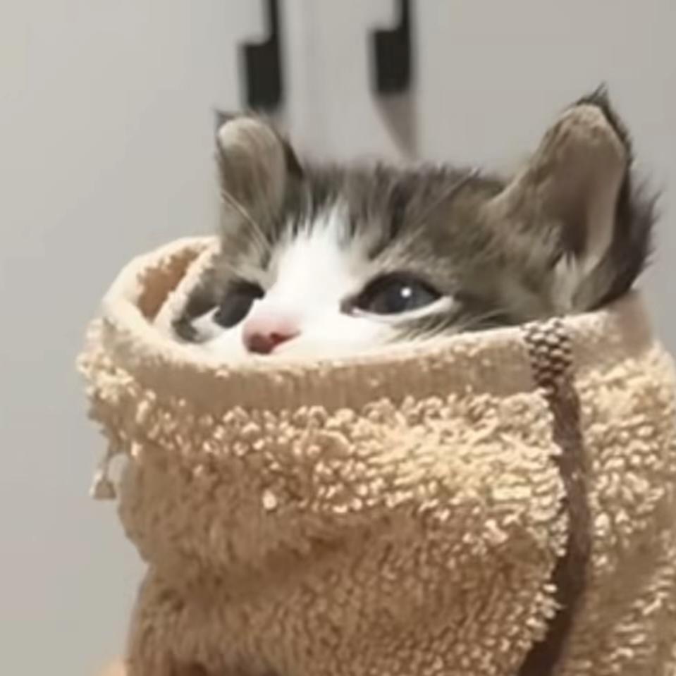 Zzj头像