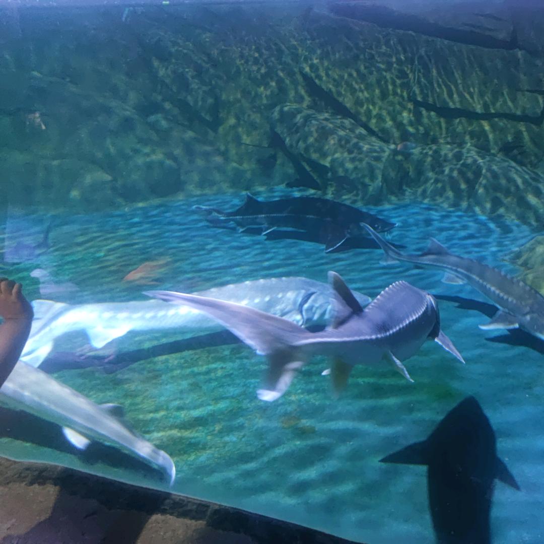 猛錘瞎子那隻好眼