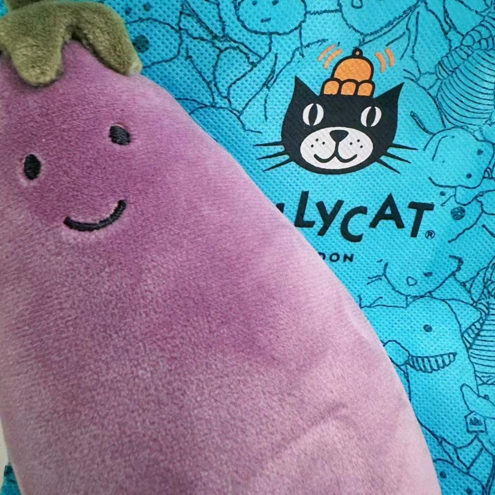 伊斯坦布尔的大猫猫