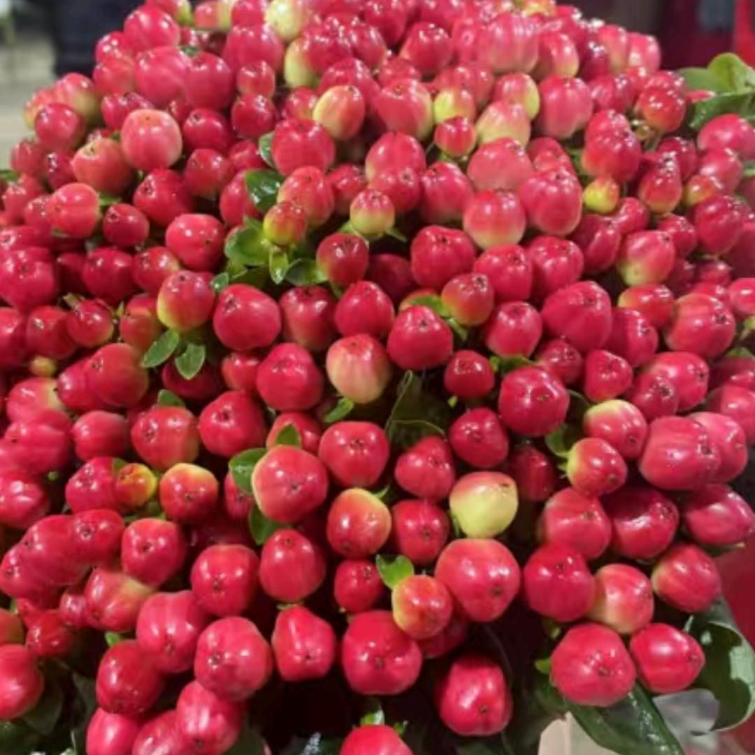 名字只是一个称呼