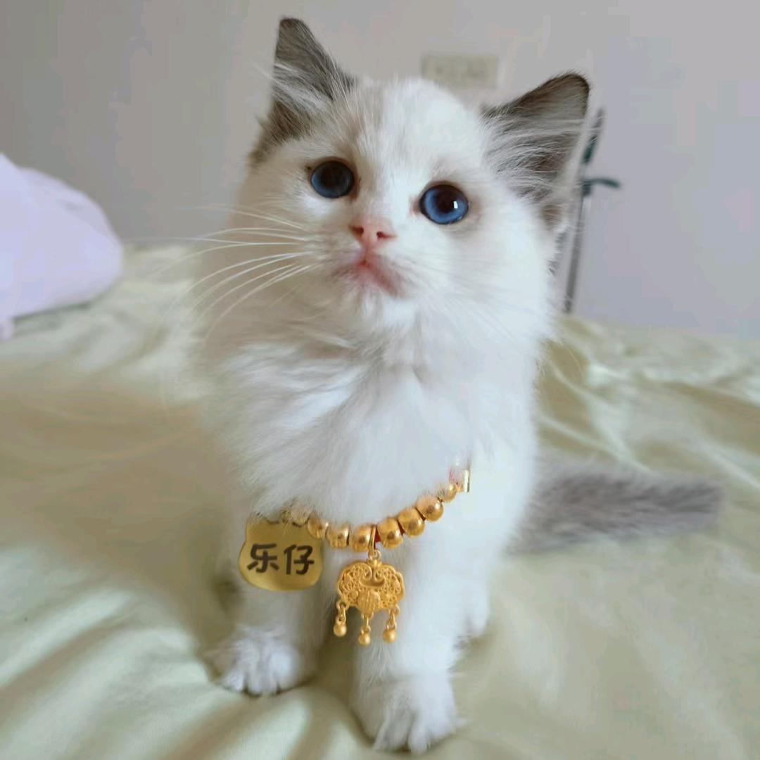 容姐