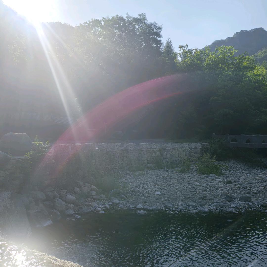 毛豆奶奶