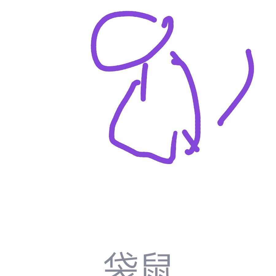 圆滚滚头像