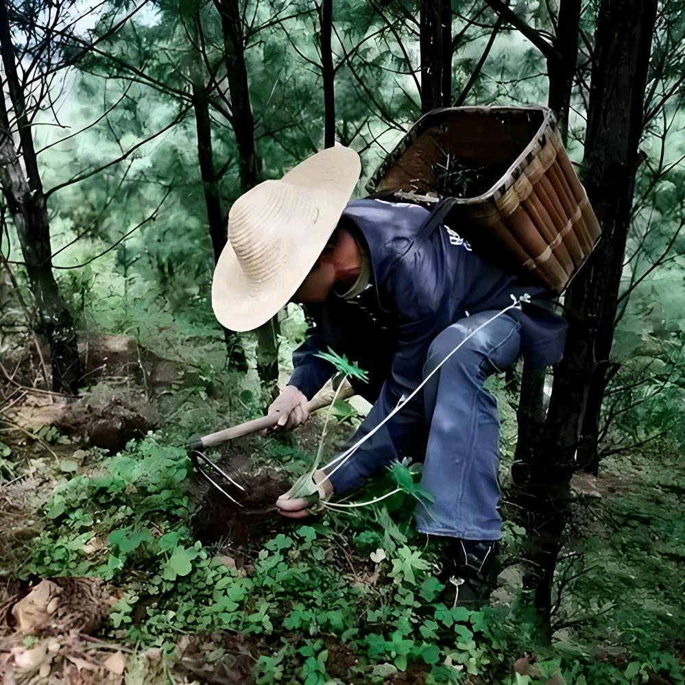 高哥讲方