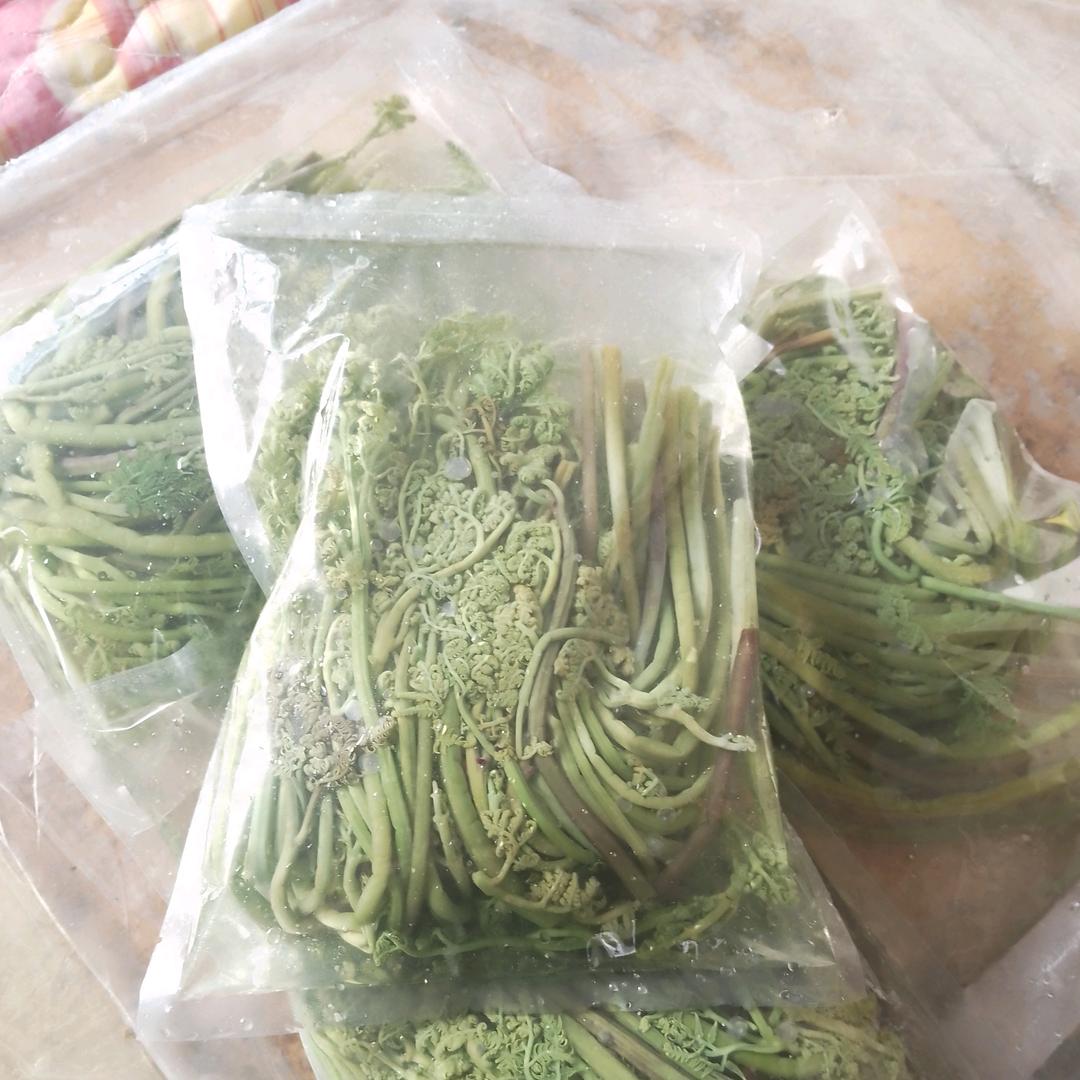 山野菜-荣