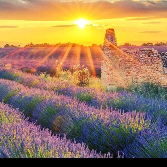 💕💕茹茹💕💕