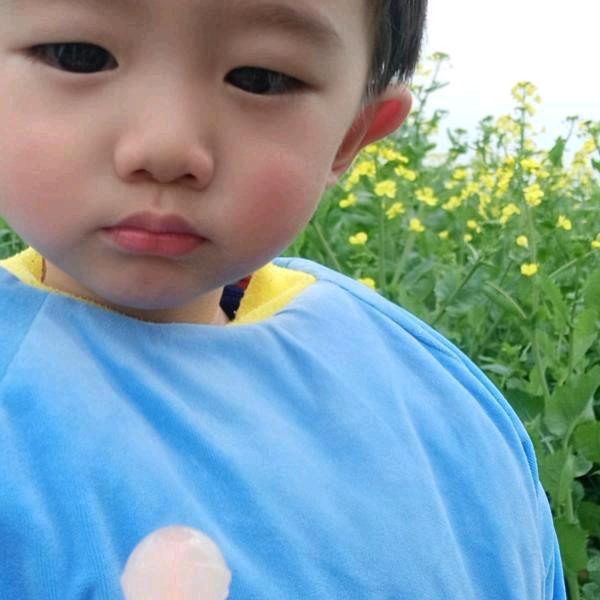 远方的你