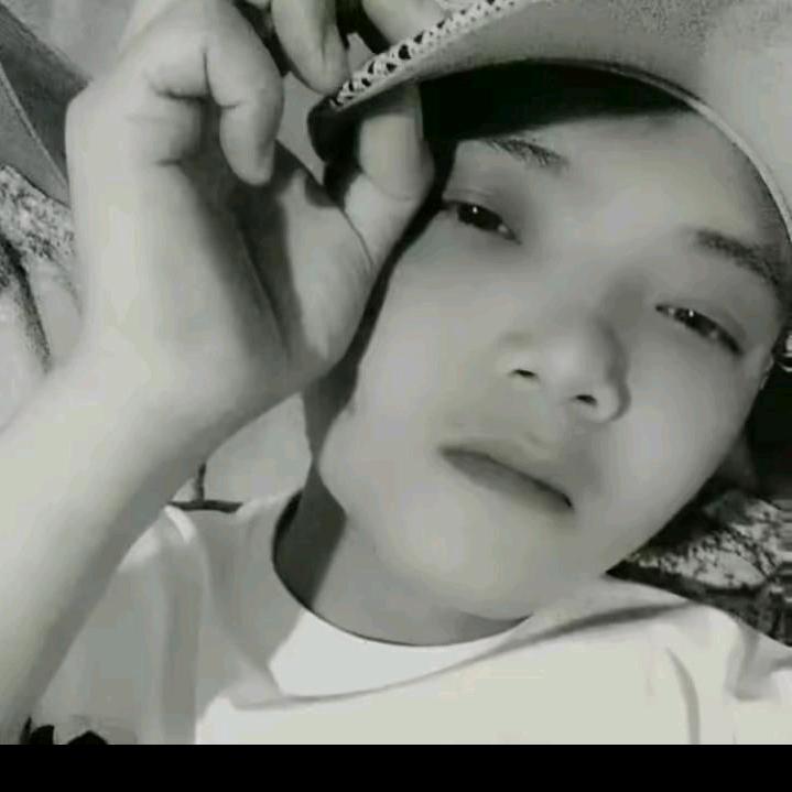小肥杨
