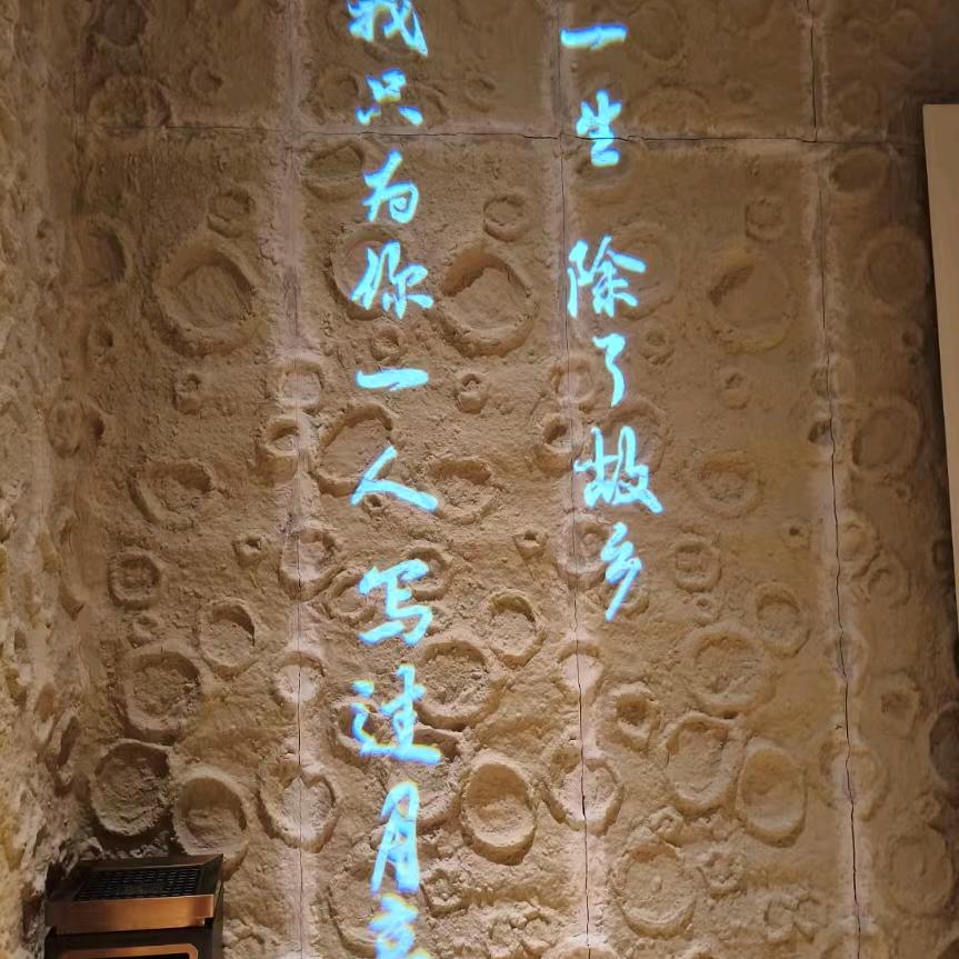 丢在北风中的狼🐺