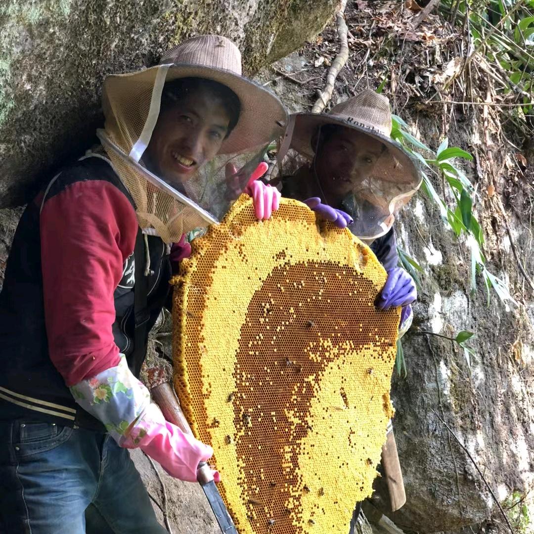 野生山货的商品橱窗