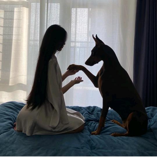 s蛇姨
