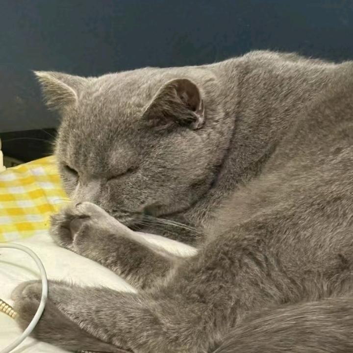 荔小刀
