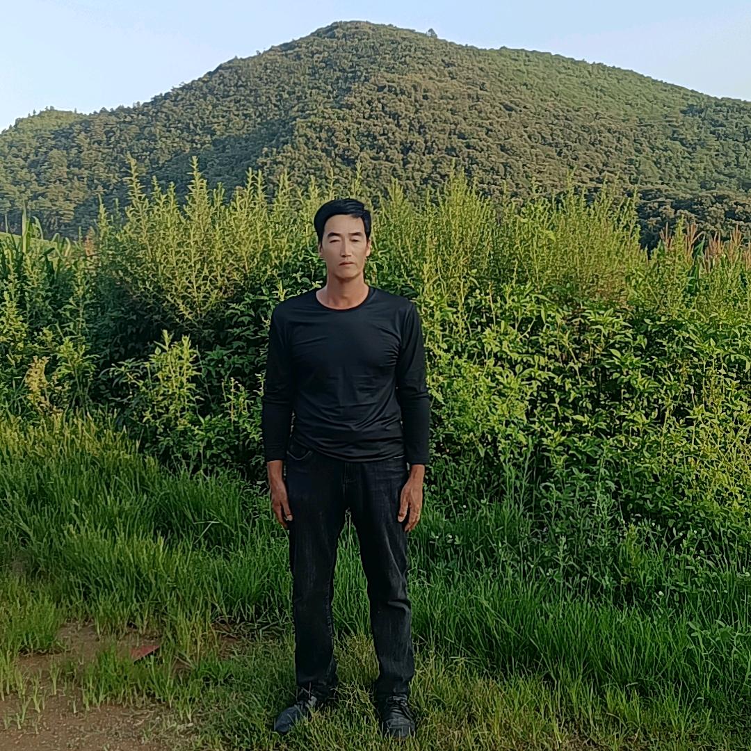 鸿运当头