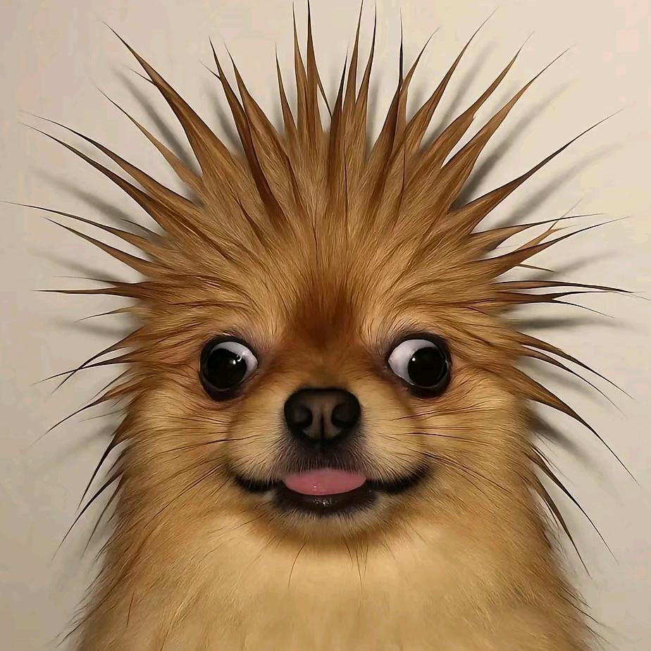 卓玛央措