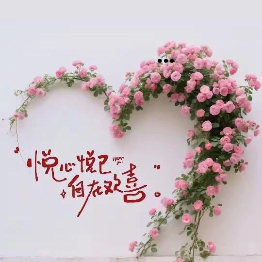 🍹微笑面对未来