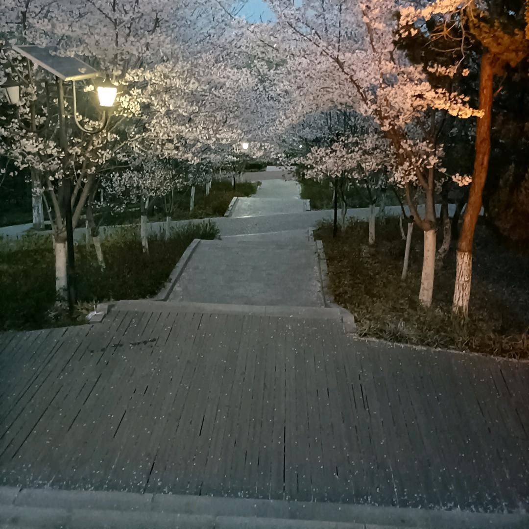 一壶老酒