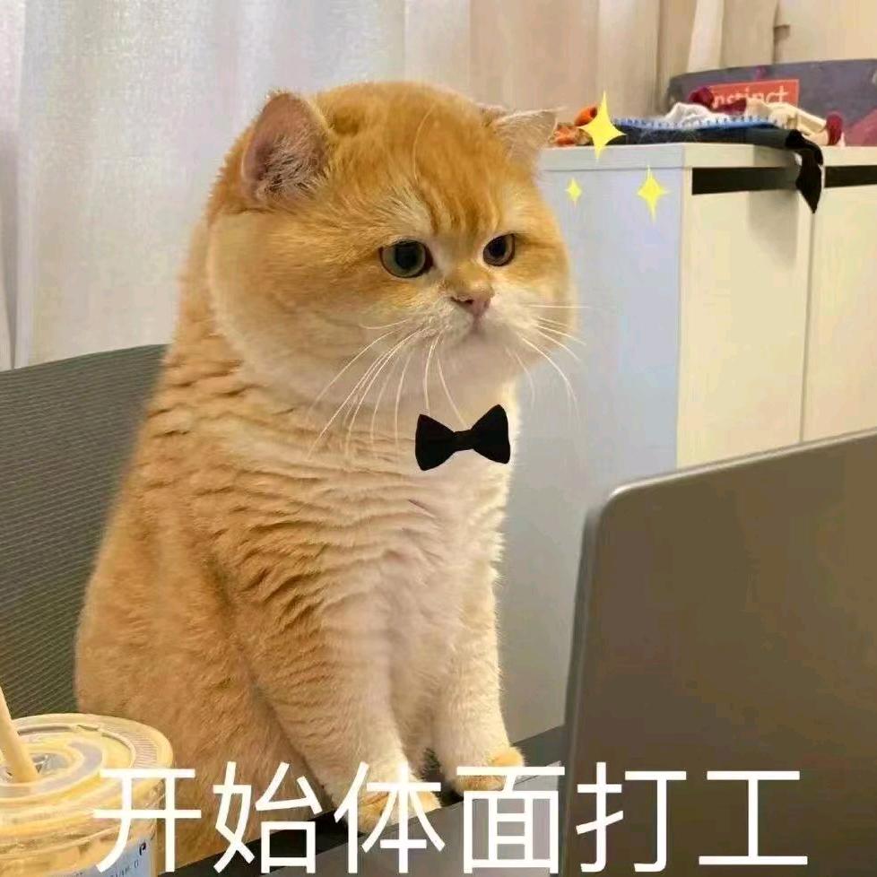 露露Lucy︱Luxury Casual