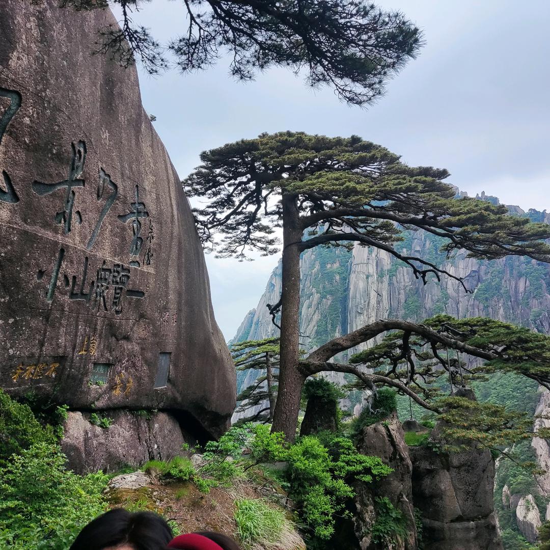 为了明天，加油