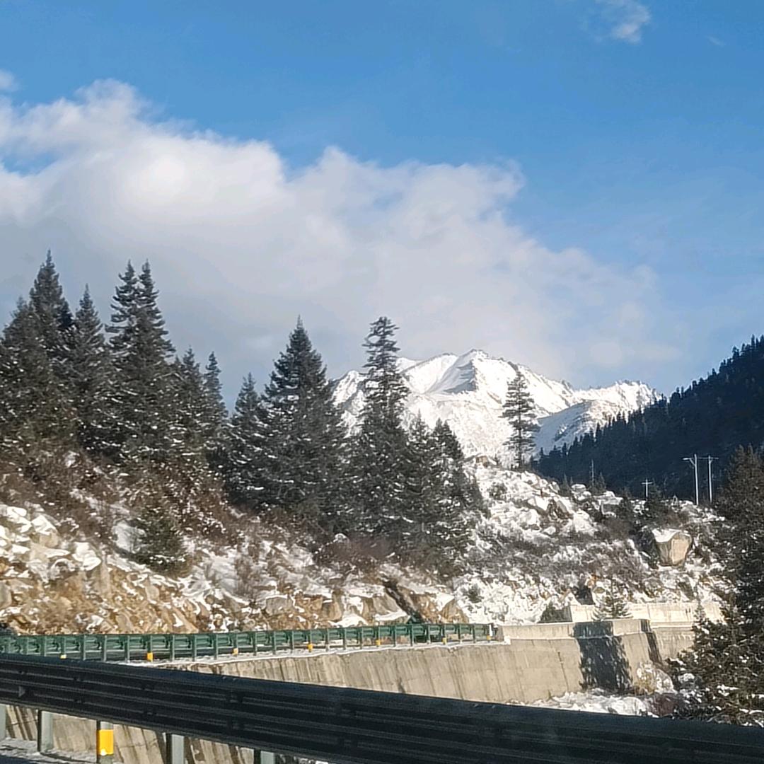 এ杯中烈酒໌ᮨ🚬敬余生🍶དྷ༗࿐