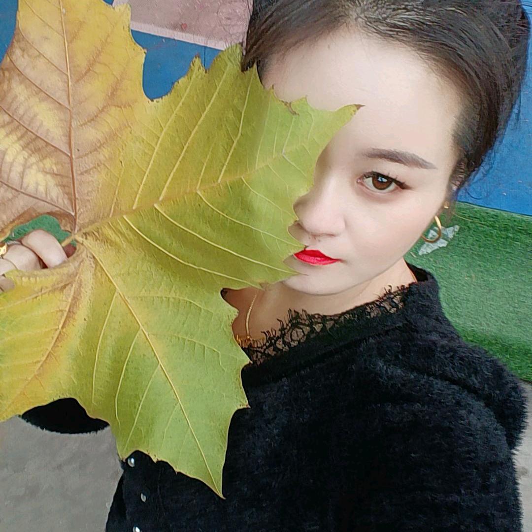 小懒猫