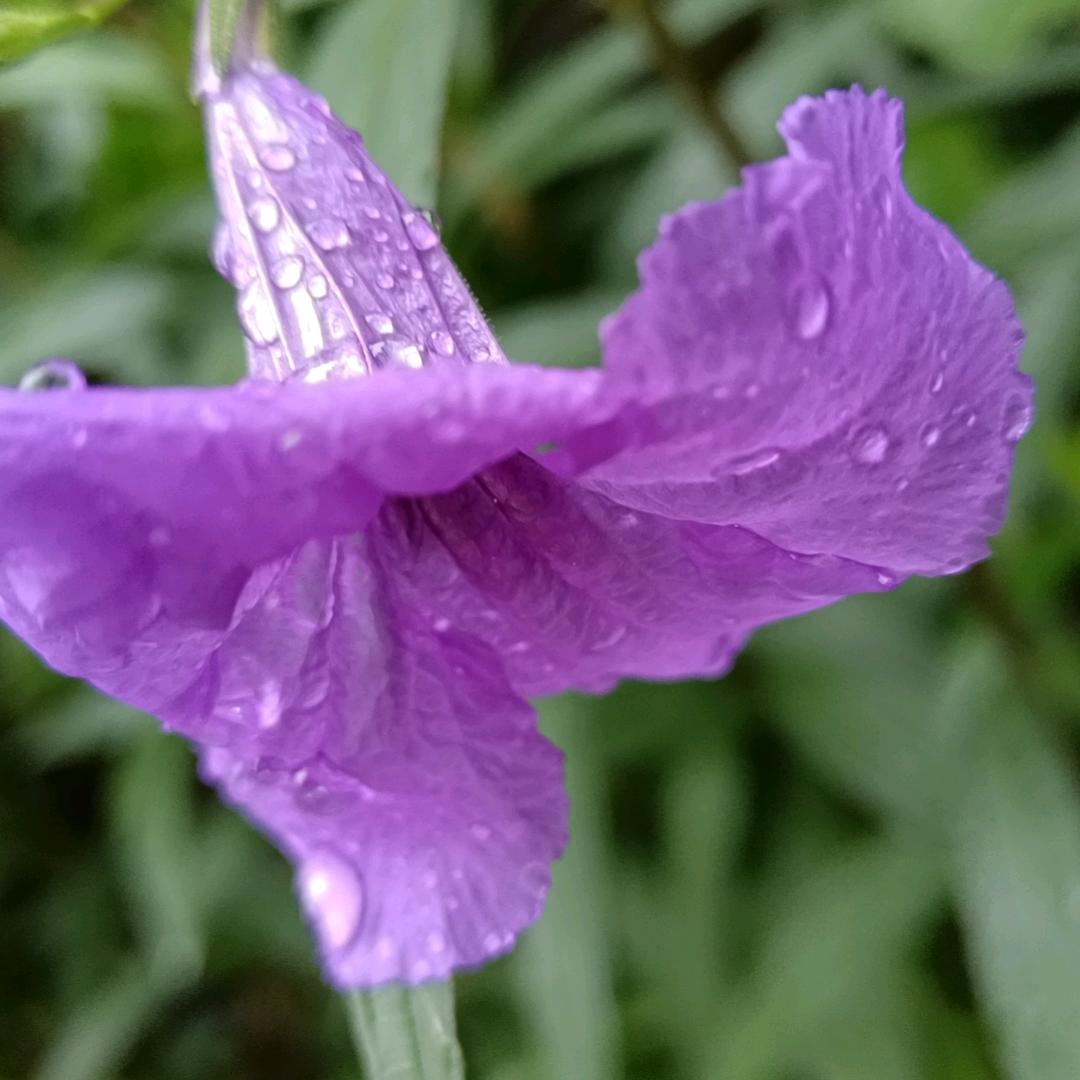 倾听幸福☘