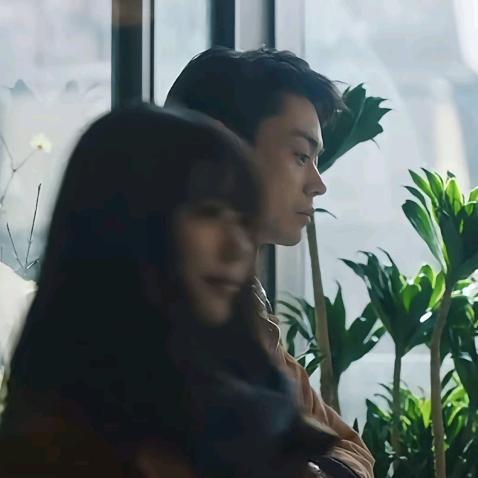 一棵树i