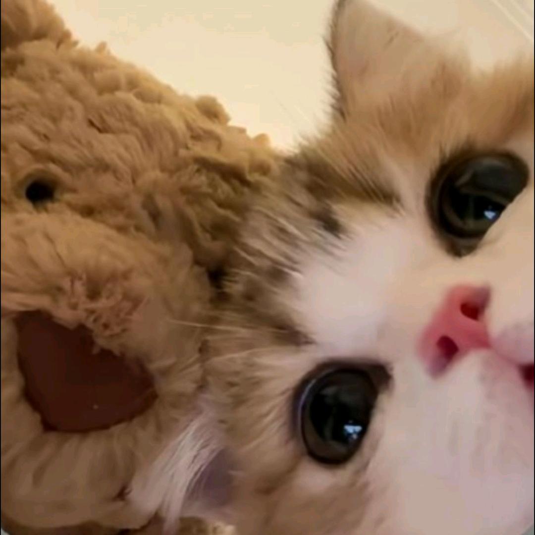 baby.