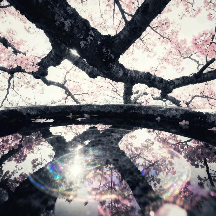 YMD头像