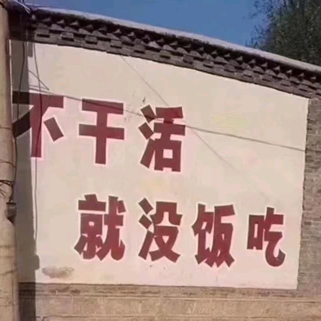 阳光积极