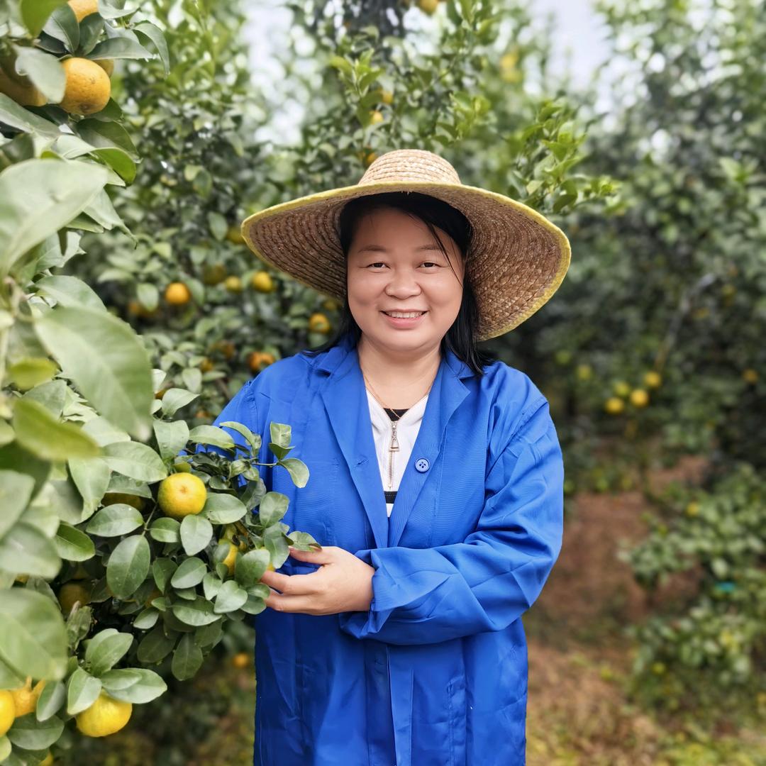 种柑橘找艳丽