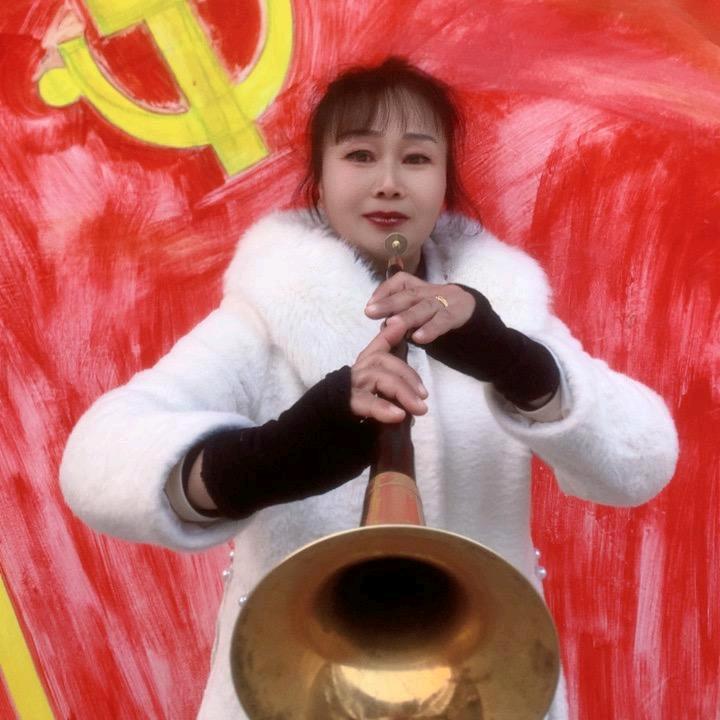 杨琴演艺