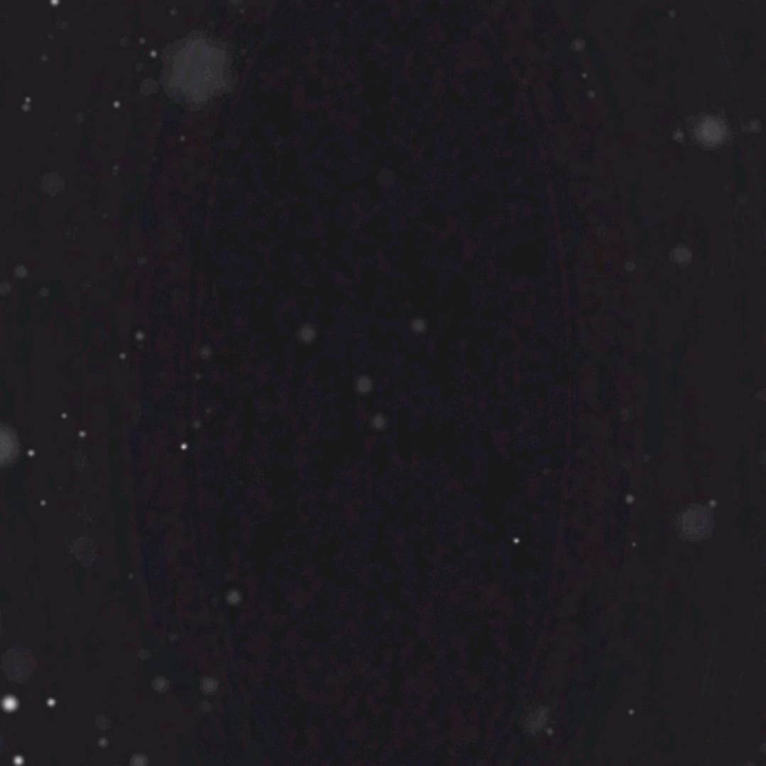 一个人漂泊在他乡