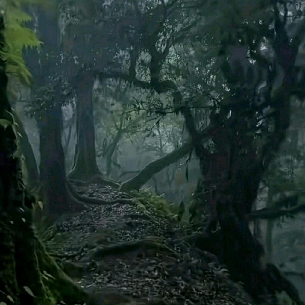 🇨🇳老玩童👊👊