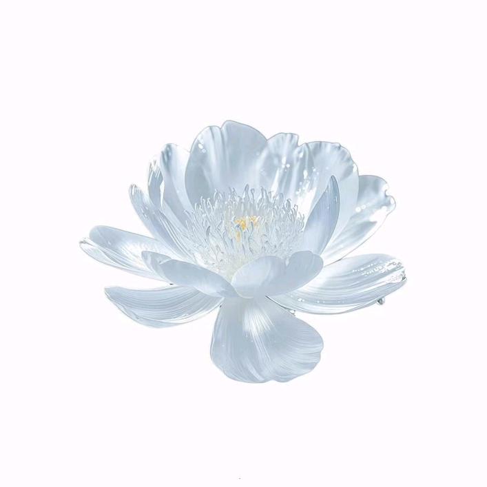 萌·