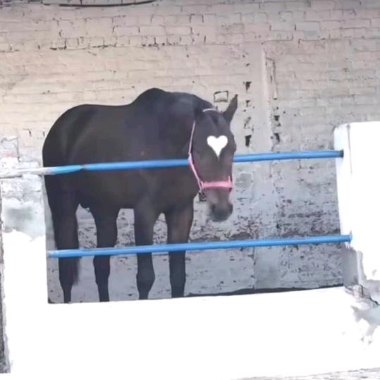 用户219136355658