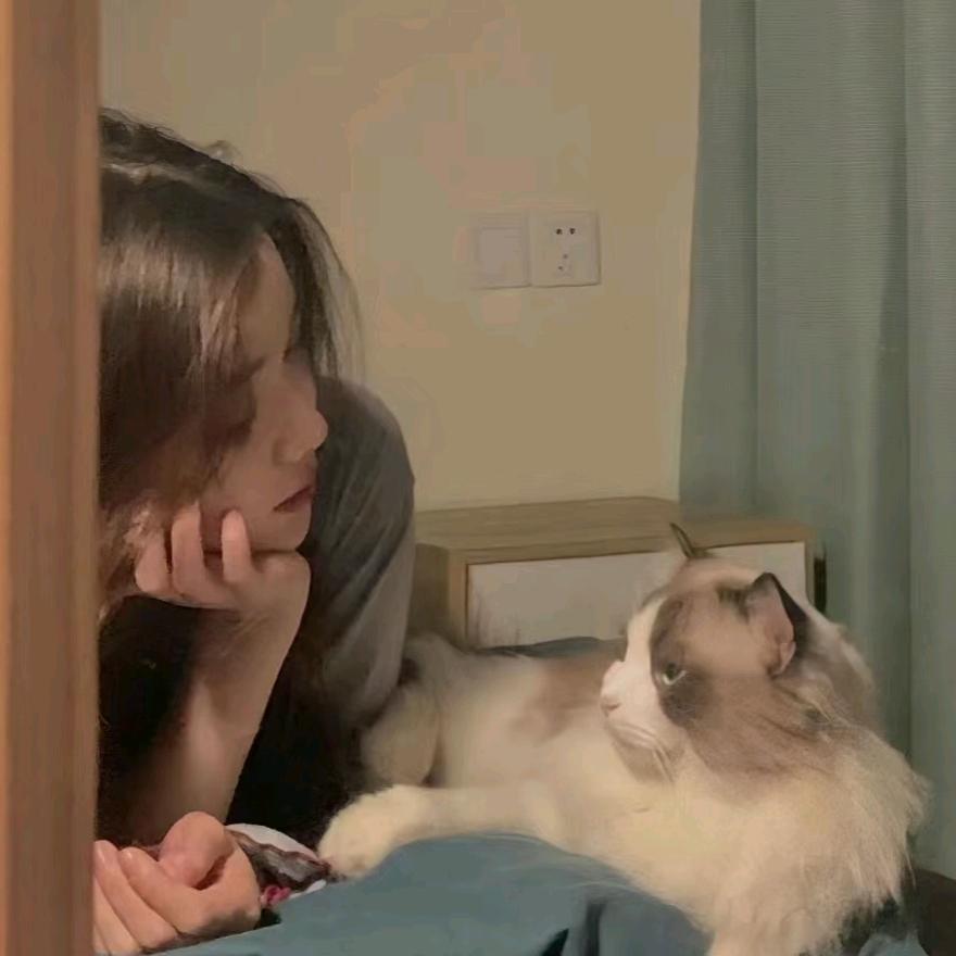 小杨.