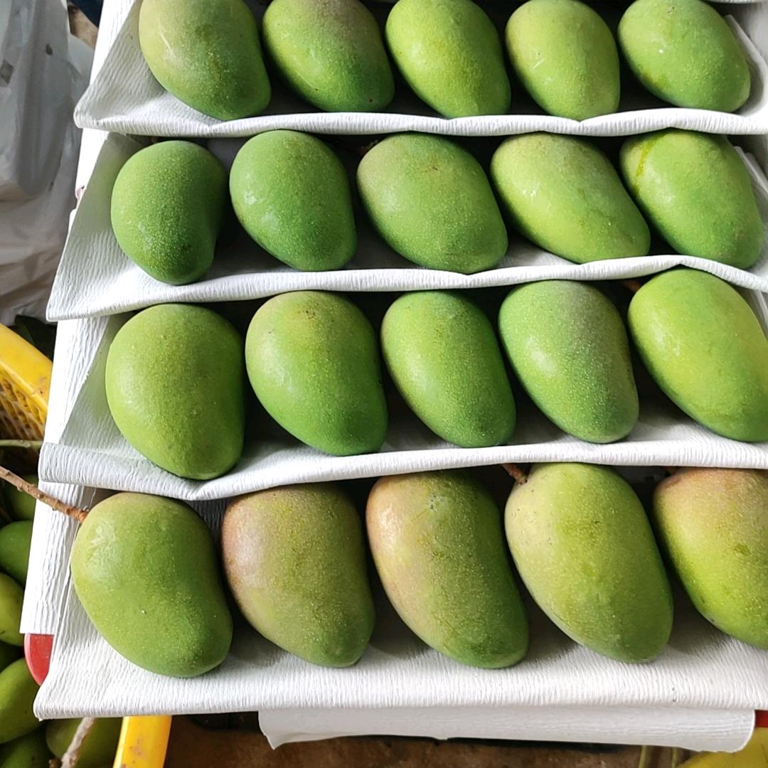 芒果🥭