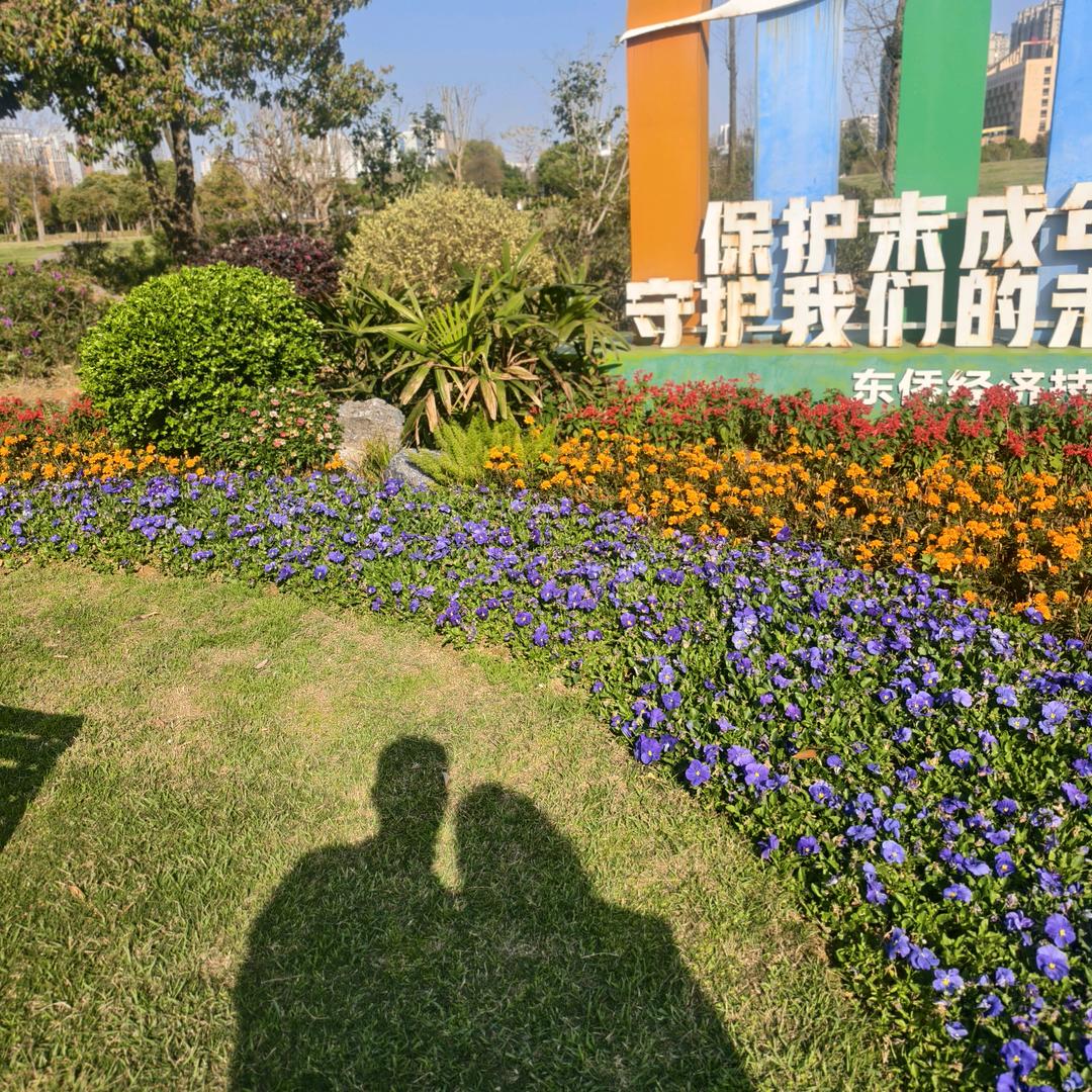 @风景如画@