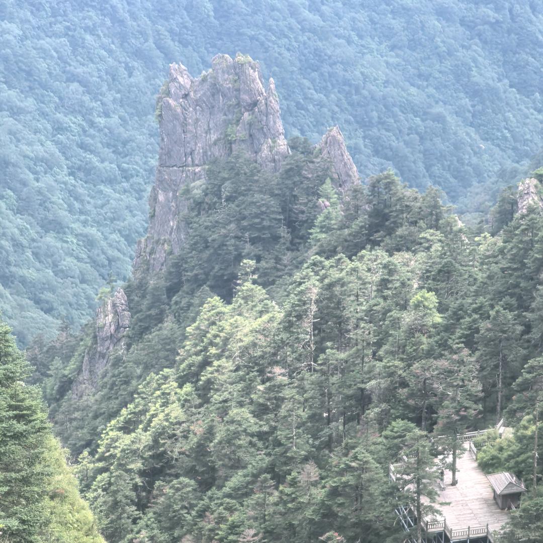 锋