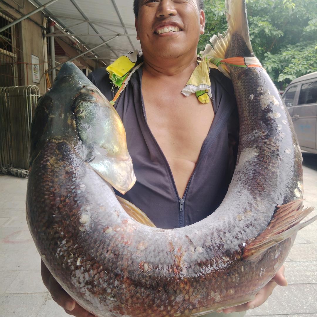 来得正好，三哥