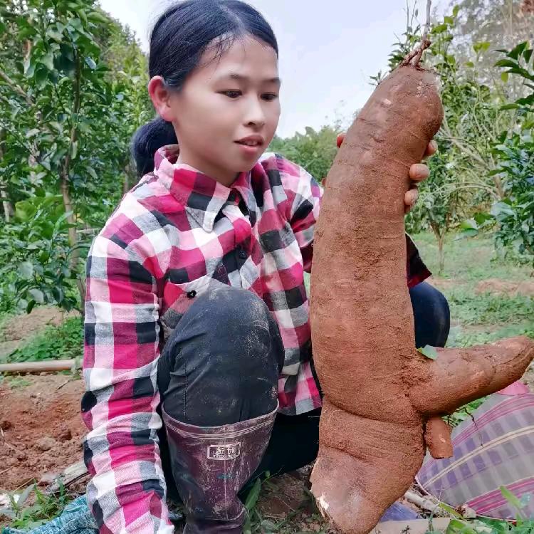娟儿农村宝妈谭谭