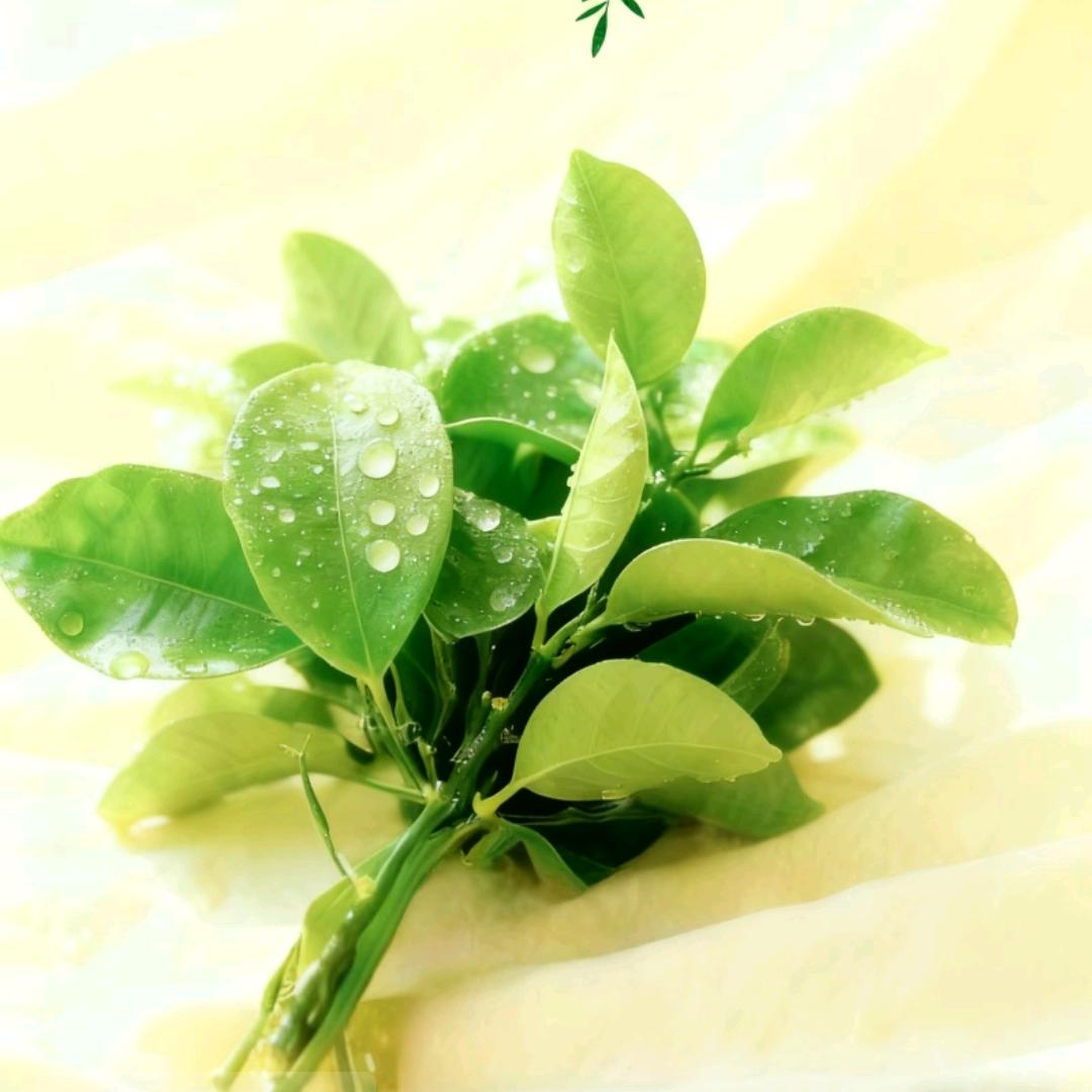 @ ᥫ᭡兜李有💰