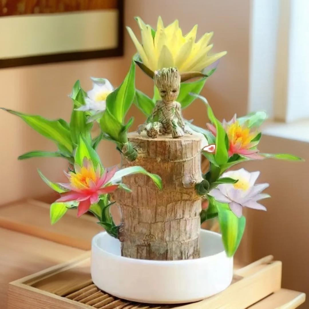 营营严选