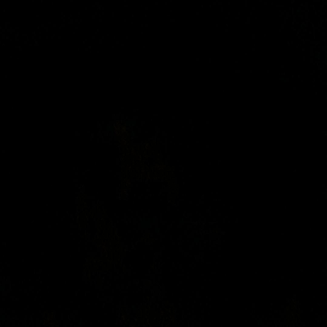 月生