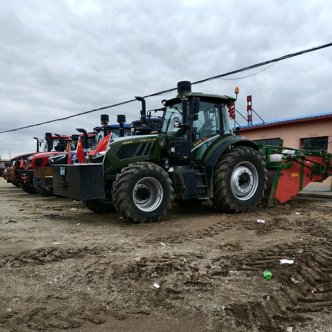 专业采挖药材团队  褚桃桃