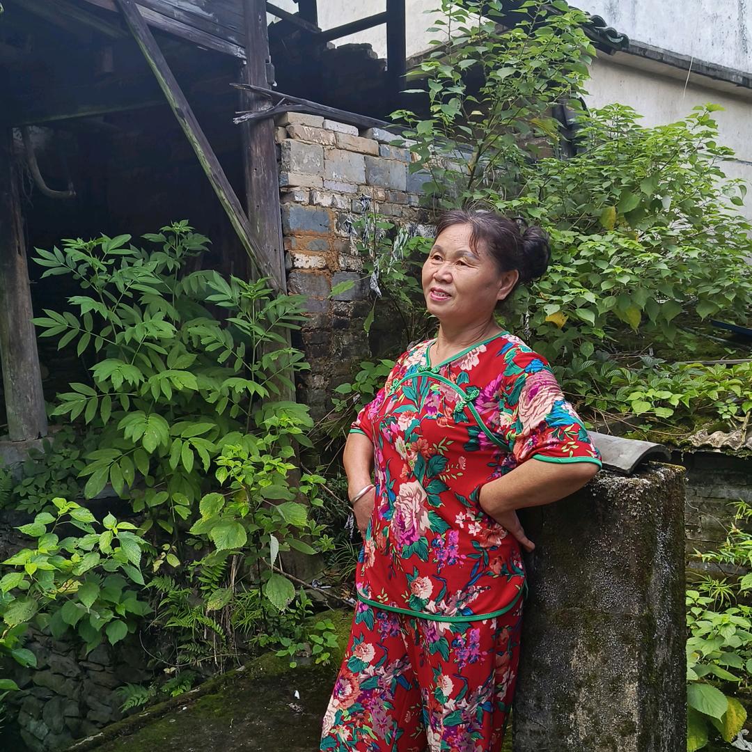 茶叶女神